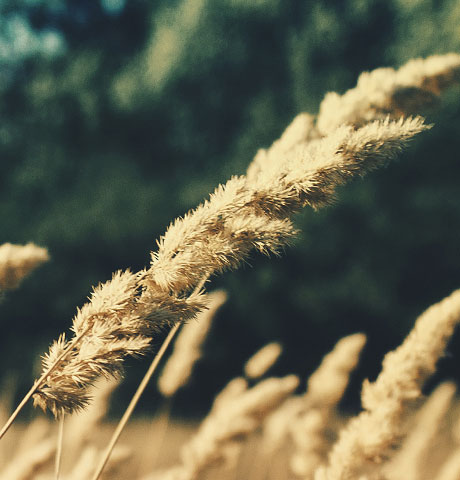 在线DDOS压力测试网页端